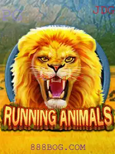 Explorando o Empolgante Mundo de RunningAnimals e 888BOG.COM